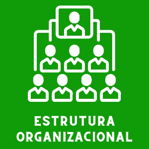 estrutura